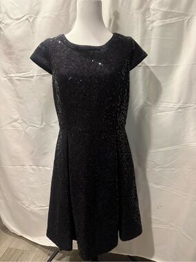 Calvin Klein Black Sequin Lace Fit & Flare Cocktail Dress | Size 10